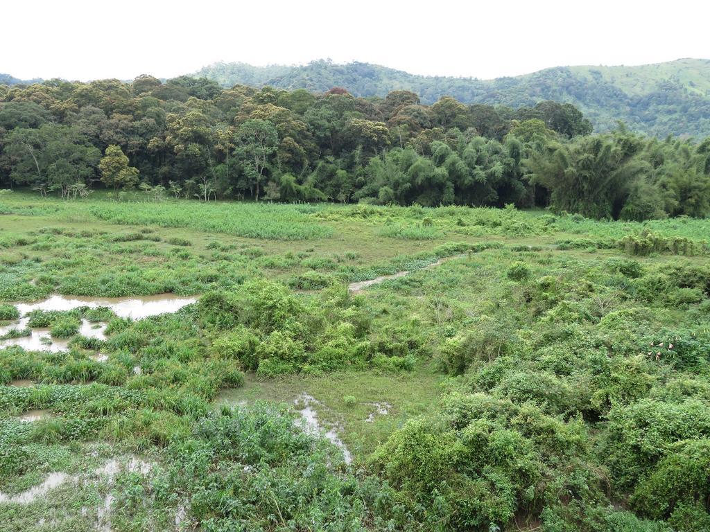 Jungle Palace Homestay Thekkady Zewnętrze zdjęcie