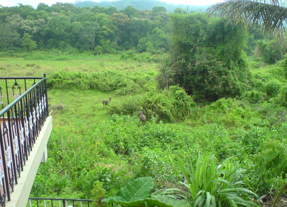 Jungle Palace Homestay Thekkady Zewnętrze zdjęcie